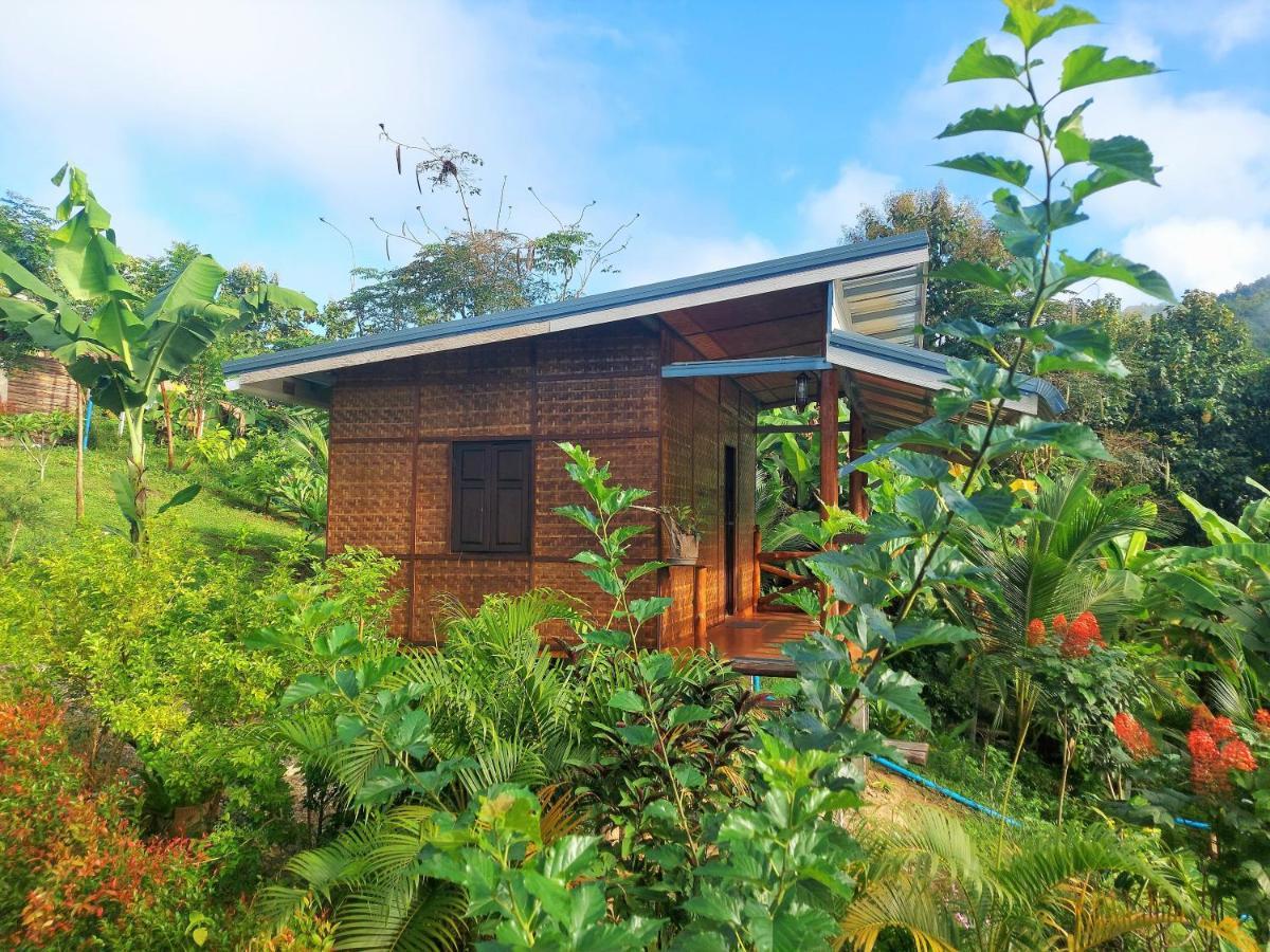 True Nature Chiang Mai - Yoga & Meditation Homestay Retreat Exterior photo