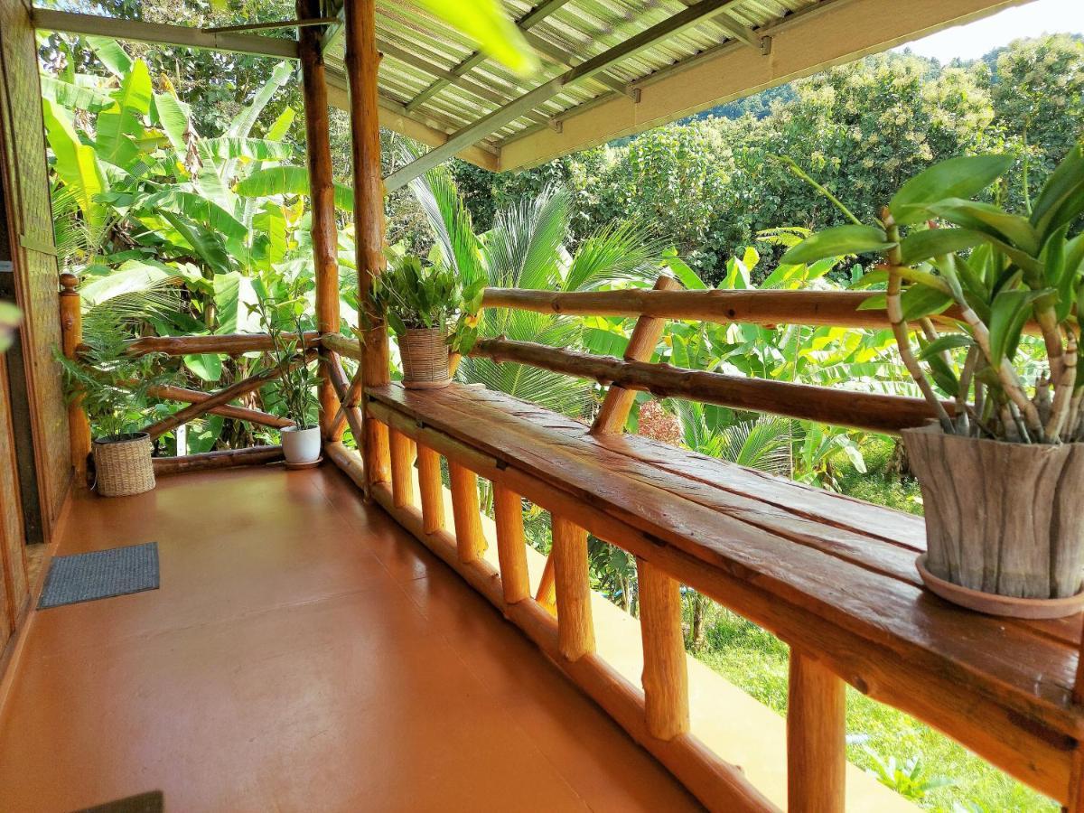 True Nature Chiang Mai - Yoga & Meditation Homestay Retreat Exterior photo